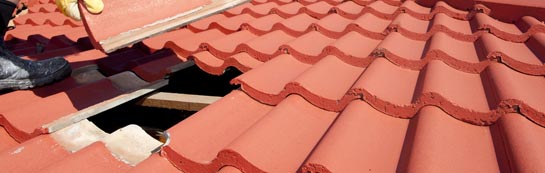 compare West Ogwell roof repair quotes