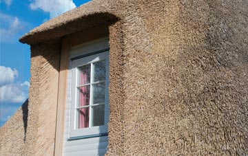 West Ogwell thatch roof disadvantages